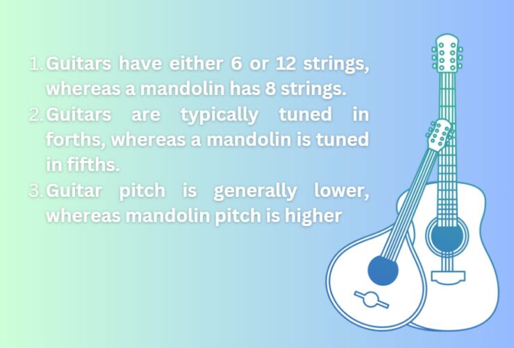 main differences between the Mandolin and Guitar